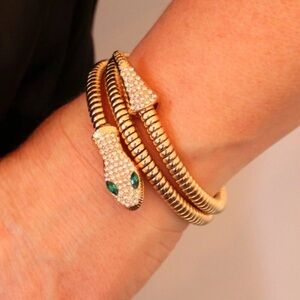 8 Other Reasons Snake Coil Wrap